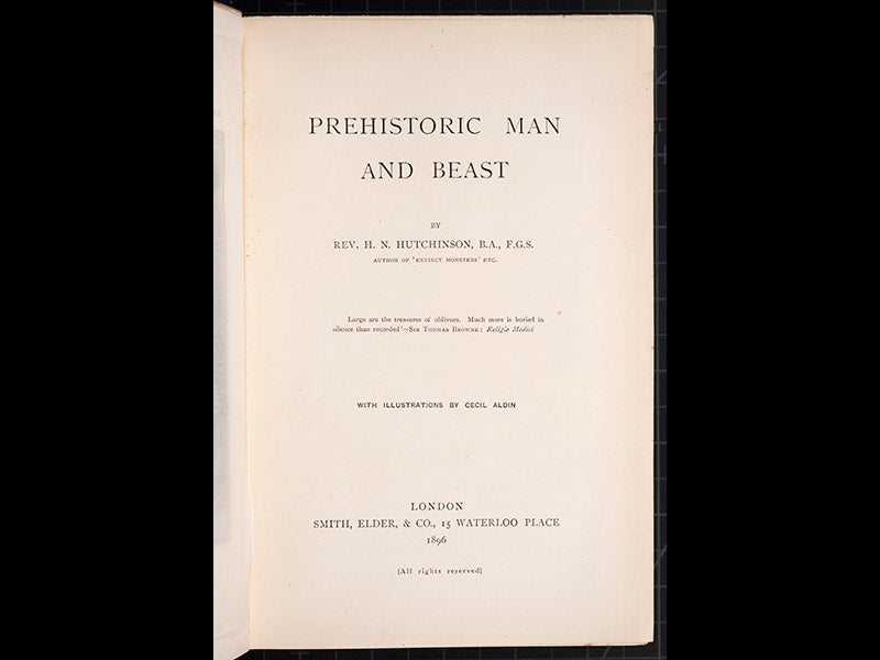 hum023002, 10/15/10, 2:45 PM,  8C, 6000x8000 (0+0), 100%, lhl,  1/60 s, R62.0, G48.2, B58.1