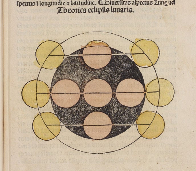 Detail of sixth image, showing the hand-coloring, Sphaera mundi, by Johannes de Sacobosco, 1482 (Linda Hall Library)