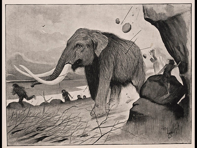 hum023003, 10/15/10, 2:10 PM,  8C, 6000x8000 (0+0), 100%, lhl,  1/60 s, R59.0, G45.2, B55.1