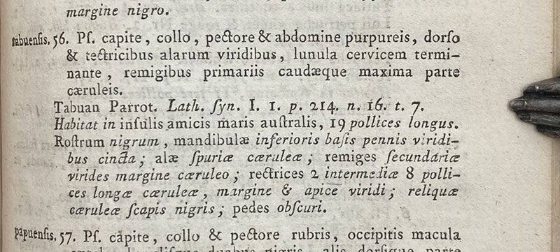 Detail showing the naming of Psittacus tabuensis, by Johann Friedrich Gmelin, citing John Latham’s Tabuan parrot, Systema naturae, by Carl von Linné, vol. 1, p. 317, 1789 (Linda Hall Library)