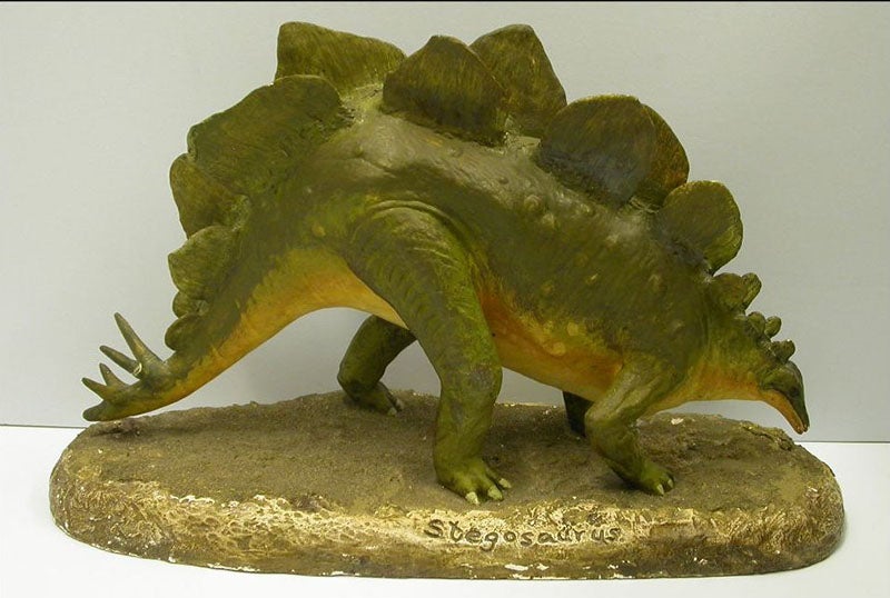 Model of <i>Stegosaurus</i>, by Charles Gilmore, in the Hunterian Museum, Glasgow (Hunterian Museum, Glasgow)