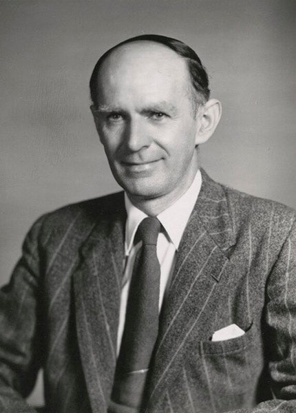 Portrait of Kenneth P. Oakley, photograph, 1957, National Portrait Gallery, London (npg.org.uk)