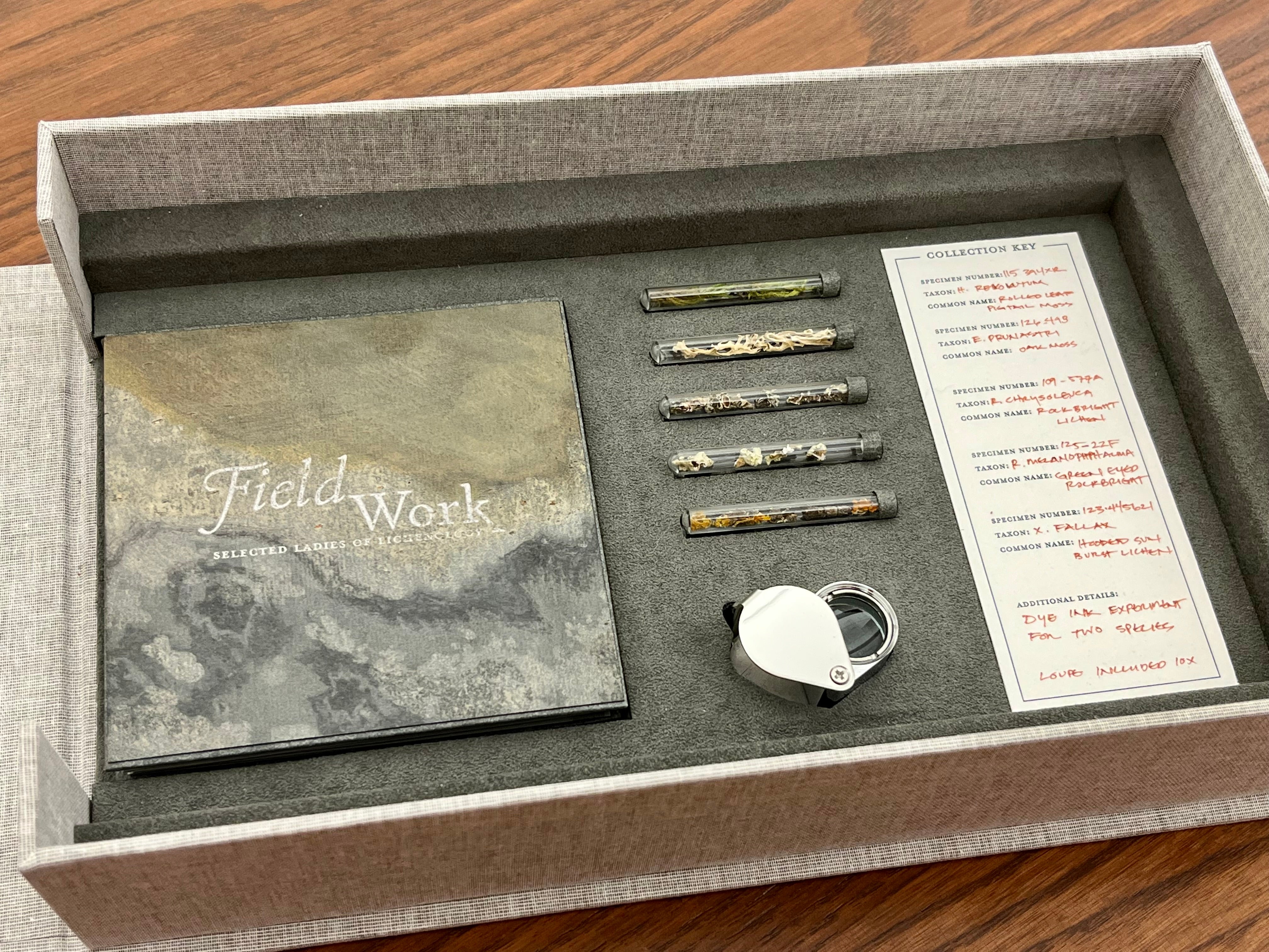 Preserved specimens of lichen and moss in glass vials and the small accordion book FieldWork, by Rhiannon Alpers.