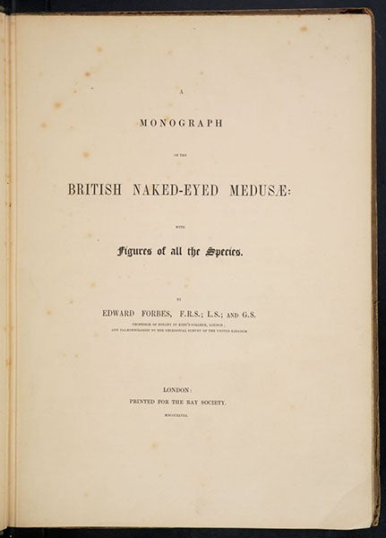 Title page, A Monograph of the British Naked-Eyed Medusæ, by Edward Forbes, 1848 (Linda Hall Library)