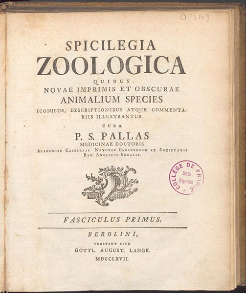 Title page, volume 1, fascicle 1, Spicilegia zoologica, by Peter Simon Pallas, 1767 (Linda Hall Library)