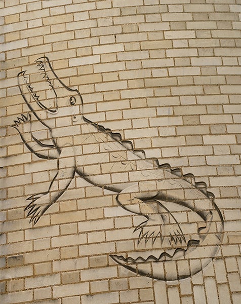 “The Crocodile,” representing Ernest Rutherford, carved into the brickwork of the Mond Laboratory, Cambridge University, on the instructions of Pyotr Kapitsa, 1933 (phyi.cam.ac.uk)