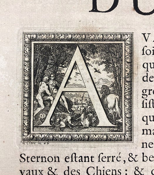 Decorative letter “A,” drawn and engraved by Sébastien Le Clerc, in Mémoires pour servir à l'histoire naturelle des animaux, by Claude Perrault, p. 1, 1676 (Linda Hall Library)