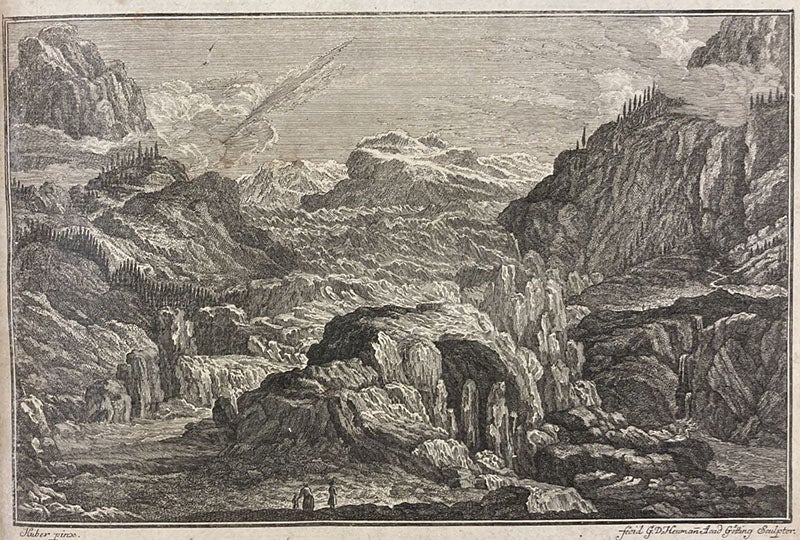 Engraved vignette, detail of title page, Historia stirpium indigenarum Helvetiæ, by Albrecht von Haller, vol. 1, 1768 (The Linda Hall)