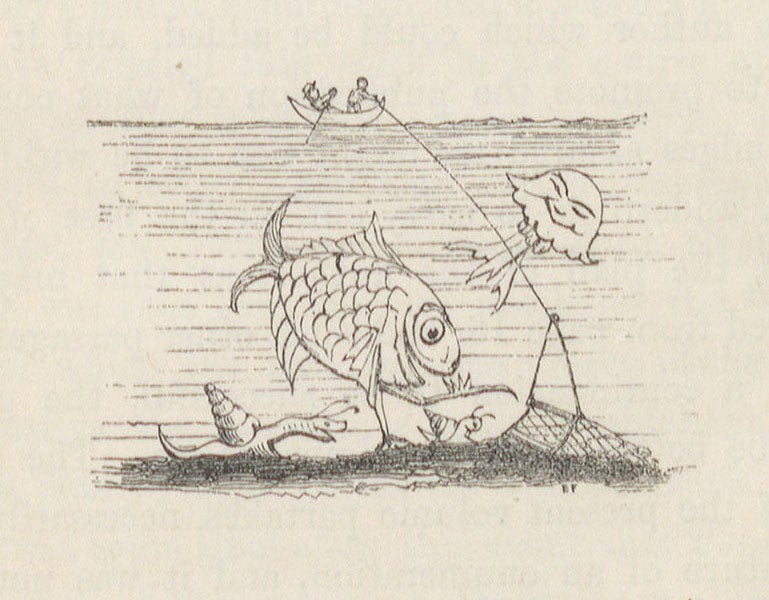Dredge cartoon, by Edward Forbes, wood-engraved tailpiece to preface of his The Natural History of the European Seas, 1859(Linda Hall Library)