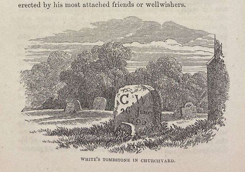 Gilbert White’s tombsone, Selborne chuchyard, wood engraving, The Natural History and Antiquities of Selborne, by Gilbert White, edited by William Jardine, p. xiv, 1853 (Linda Hall Library)