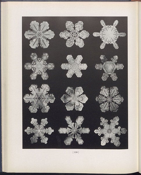 Twelve photomicrographs of snow crystals, plate 110, Snow Crystals, by Wilson A. Bentley and William J. Humphreys, 1931 (Linda Hall Library)