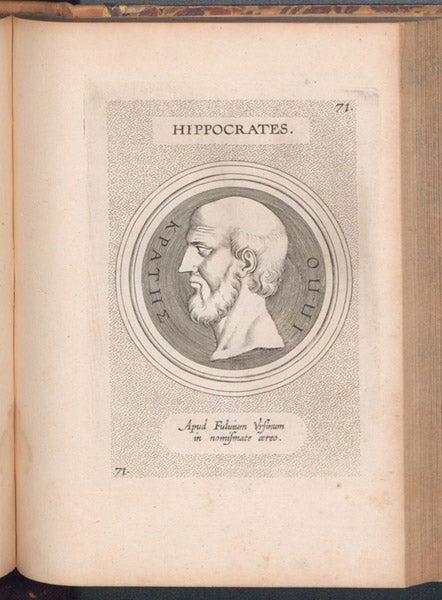 Portrait of Hippocrates, by Theodor Galle, engraving after a cameo, coin, gem, or relief in the collection of Fulvio Orsini, in Galle’s Illustrium imagines, 1606 (Linda Hall Library)