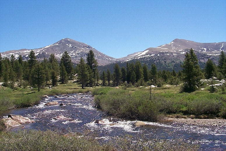 Mount Dana, with an elevation of 13,061 feet, at the eastern boundary of Yosemite National Park, not far from Mount Lyell, 52 feet taller (Wikimedia commons)
