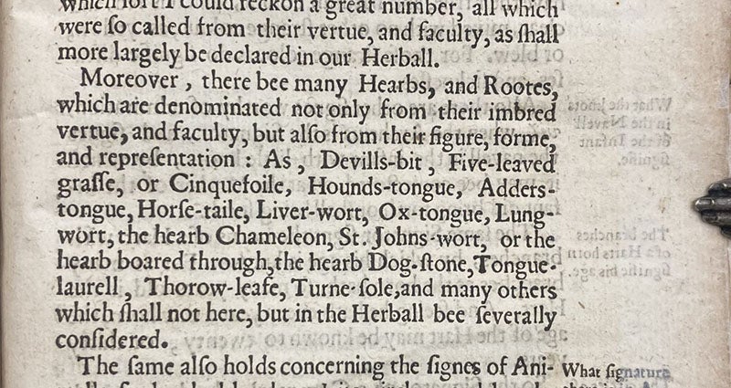 Detail of page listing plants named after their signatures, On the Nature of Things, by Phillip Theophasus of Hohenheim, called Paracelsus, 1650 (Linda Hall Library)