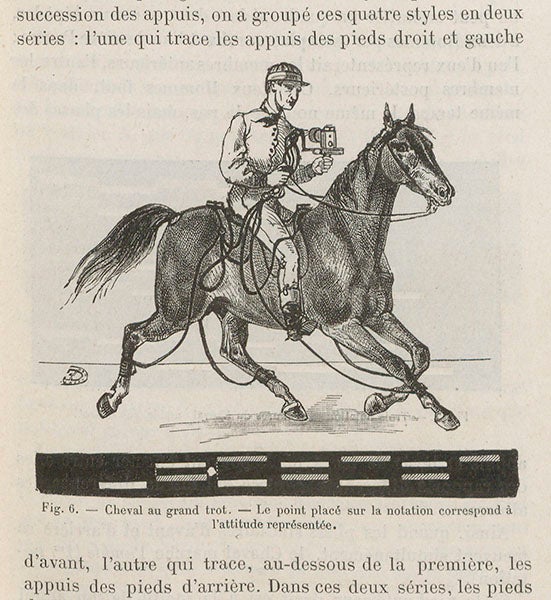 A horse wired for measuring its leg motions, with graphical results below, Étienne-Jules Marey, Le movement, 1894 (Linda Hall Library)