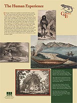 The Human Experience