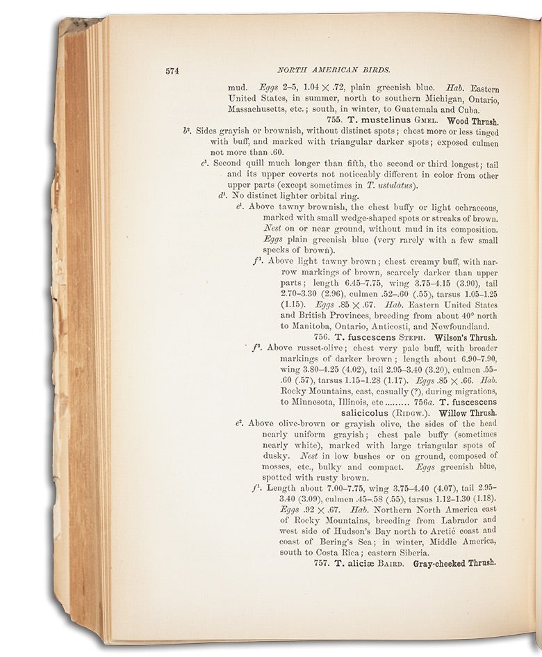 Ridgway, Robert. A Manual of North American Birds. Philadelphia: J. B. Lippincott Company, 1887. View Source.
