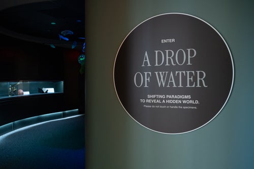 Alchemy of Knowledge Exhibit