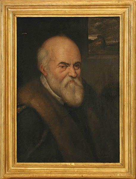 Portrait of Ulisse Aldrovandi, oil painting, unknown artist, late 16th century (Museo di Palazzo Poggi, University of Bologna)