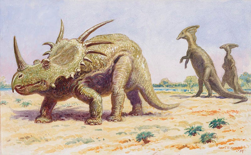 Charles Knight, Styracosaurus and Parasaurolophus, 1939 
