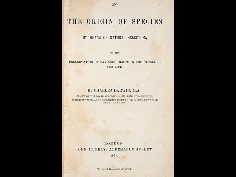 charles darwin research paper