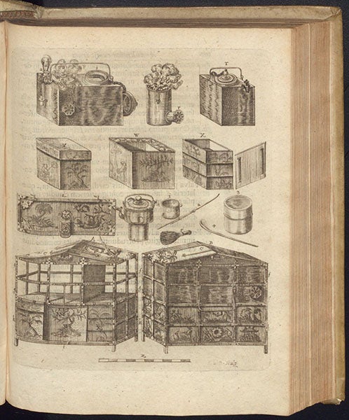 Paraphernalia and utensils for a tea ceremony, etching, Amoenitatem exoticarum, by Engelbert Kaempfer, p. 629, 1712 (The Linda Hall)
