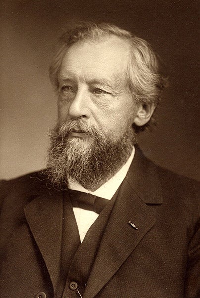 Portrait of Hugo de Vries, photograph, undated, 1910s? (pbs.twimg.com)