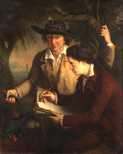 Johann Reinhold and Johann Georg Forster, father-and-son naturalists on Cook’s second voyage, oil on canvas by JeanFrancois Rigaud, National Portrait Gallery of Australia (portrait.gov.au)