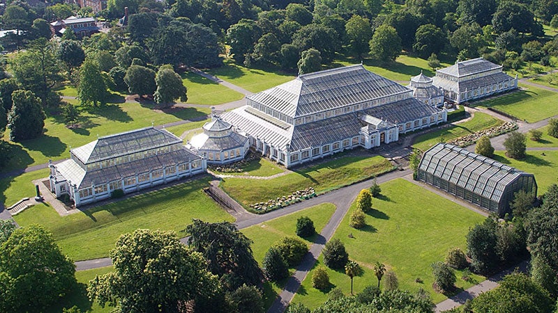 Temperate House, Kew Gardens, London, aerial photograph (kew.org)