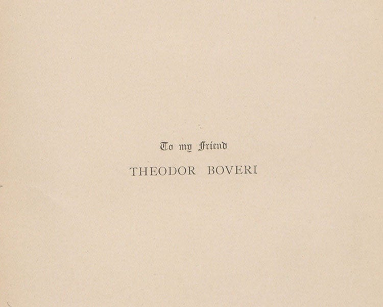 Dedication to Theodor Boveri, The Cell in Development and Inheritance, by Edmund Beecher Wilson, 1896 (Linda Hall Library)