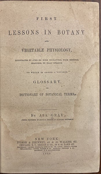 Title page, First Lessons in Botany, by Asa Gray, crediting Isaac Sprague for the 300 wood engravings, 1859 (Linda Hall Library)
