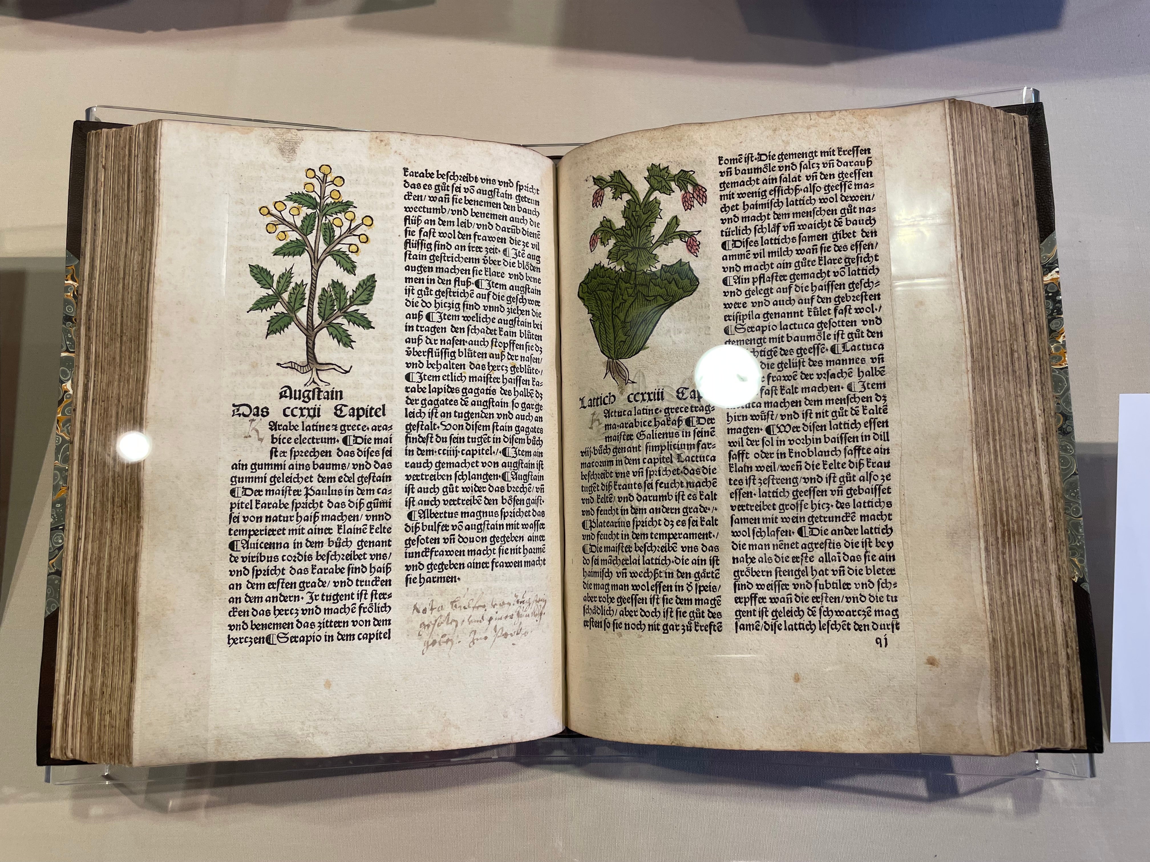 Photo of book Ain Garten der Gesundheit