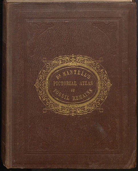 Gold-stamped cloth front cover, A Pictorial Atlas of Fossil Remains, by Gideon Mantell, 1850 (Linda Hall Library)