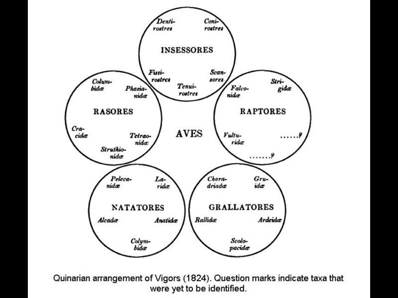 Image from Wikipedia