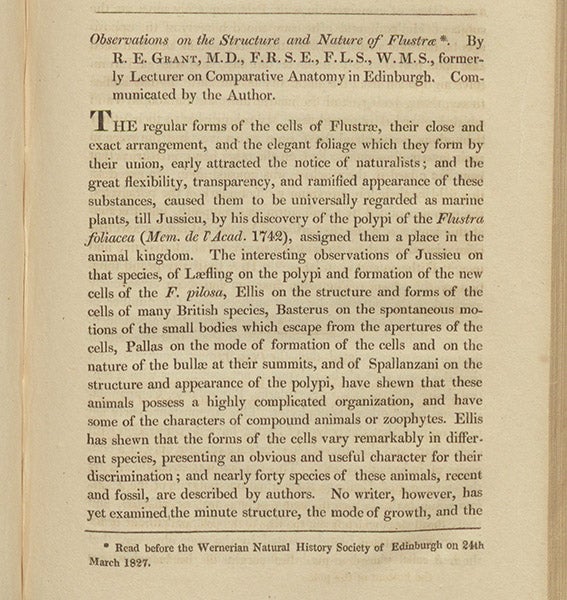 First page of article by Robert Grant, “Observations on the structure and nature of Flustrae,” Edinburgh New Philosophical Journal, vol. 3, 1827 (Linda Hall Library)