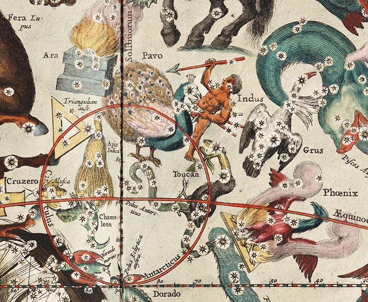 Detail of plate 27 of Andreas Cellarius, <I>Harmonia macrocosmica</i>, 1661, showing the new southern constellations of Houtman and Keyser (Linda Hall Library)