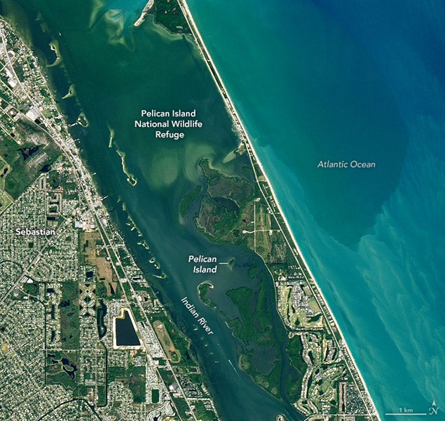 Satellite view of Pelican Island and the National Wildlife Refuge at the mouth of Indian River, east coast of Florida, photograph, NASA (earthobservatory.nasa.gov)