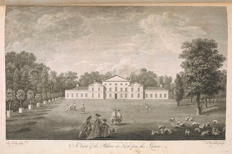 The White House at Kew in 1763, the former residence of Samuel Molyneux, where he set up his 24-foot zenith sector in 1725 and observed with James Bradley (British Library)