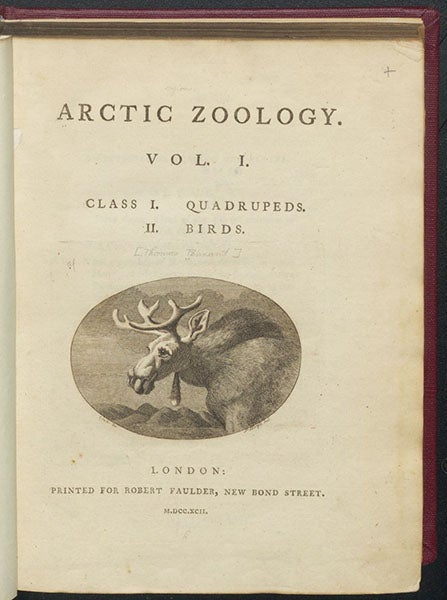 Title page with engraved vignette of a moose after George Stubbs, Thomas Pennant, Arctic Zoology, 1792 (Linda Hall Library)