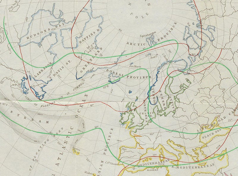 Detail of seventh image, the oceanic provinces surrounding Great Britain (Linda Hall Library)