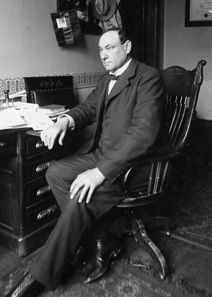 Portrait of Harvey W. Wiley, photograph, undated (Wikimedia commons)