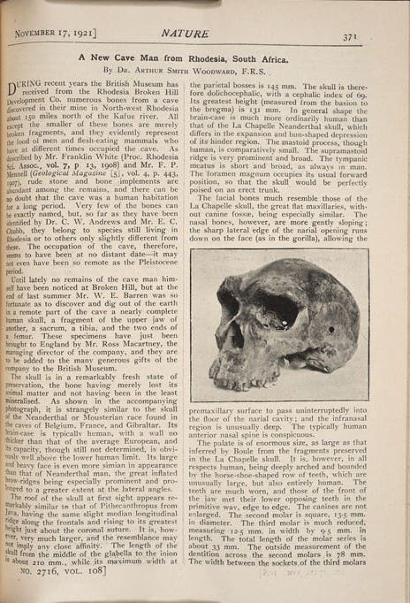 Rhodesian Man Found In 49. Rhodesian Man, 1921 - Linda Hall Library