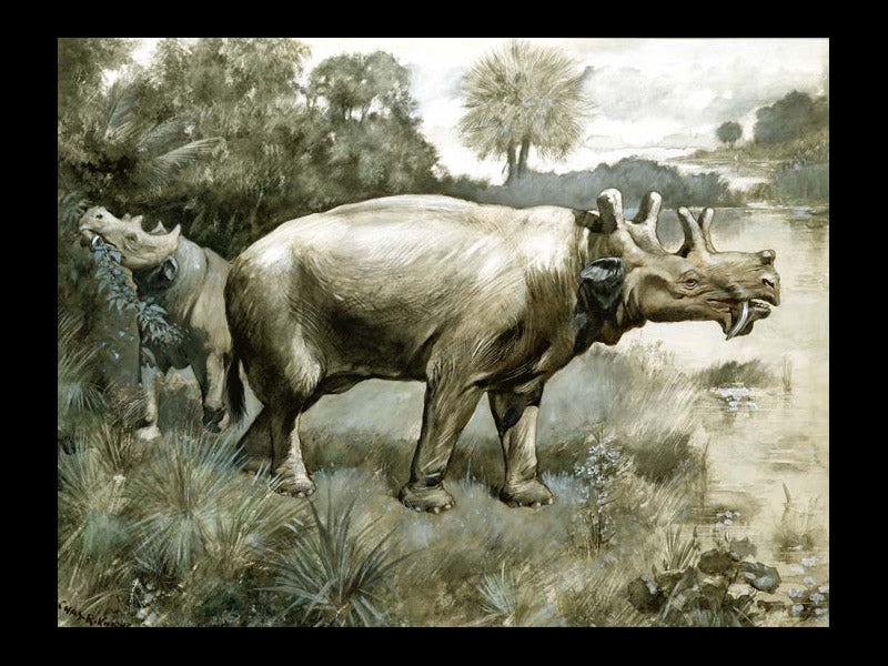 edward drinker cope discoveries
