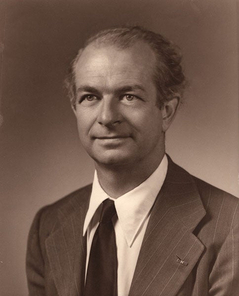 Portrait of Linus Pauling, photograph, early 1980s, National Library of Medicine (nlm.nih.gov)