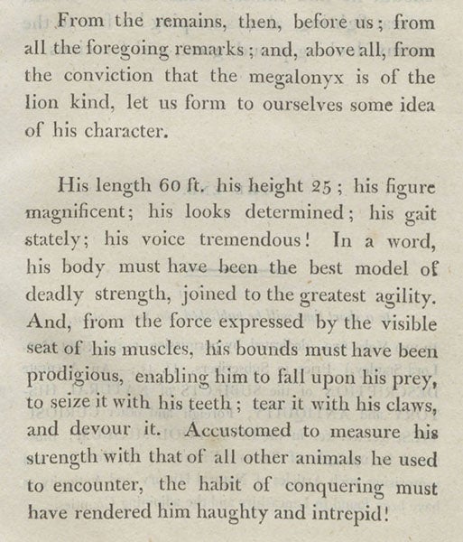Restoration in words of a Megalonyx, from Thomas Ashe, Memoirs of Mammoth, 1806 (Linda Hall Library)