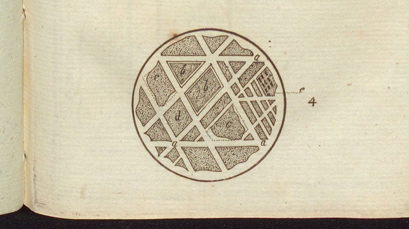 Pattern revealed by etching a piece of the Pallas Iron, detail of engraving in "On the malleable iron, etc.  Essai sur le fer malléable trouvé en Sibérie par le Prof. Pallas,” by William Thomson, <i> Bibliothéque Britannique</i>, vol. 25, 1804 (Linda Hall Library)