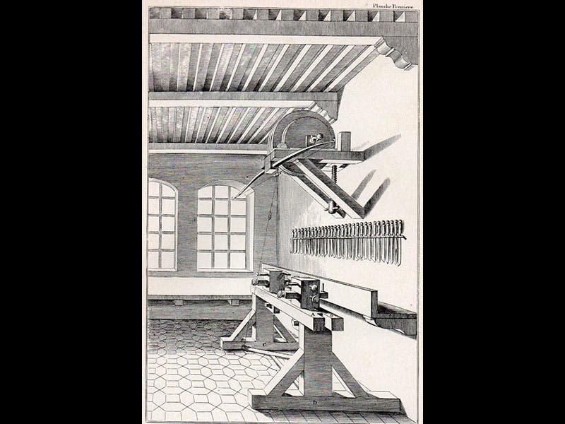 Charles Plumier Linda Hall Library