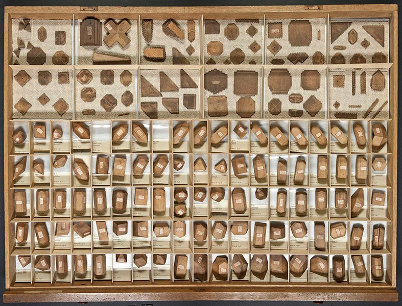 Drawer filled with pearwood models of the diagrams in Haüy’s treatise, in Teylers Museum, Haarlem (Teylers Museum on twitter)