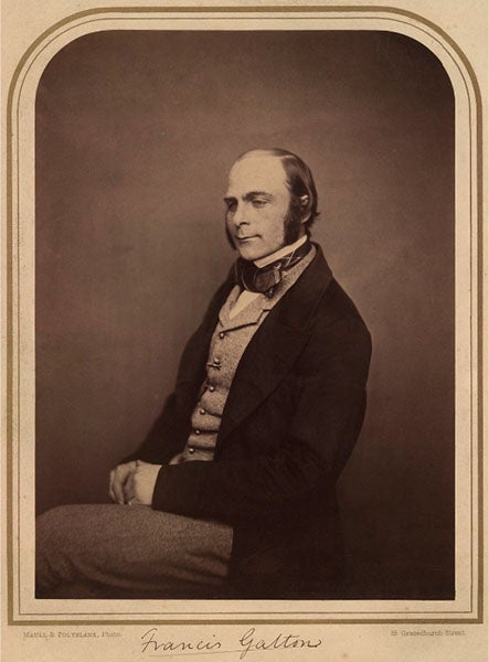 Portrait of Francis Galton, albumen print by Maull & Polyblank, late 1850s, National Portrait Gallery, London (npg.org.uk)
