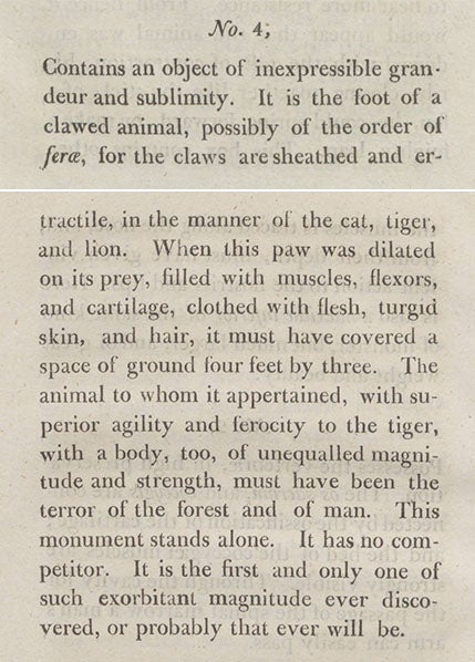 Thomas Ashe’s description of Box 4 in Bullock’s Museum, which contained the claws of a <i>Megalonyx</i>, from his <i>Memoirs of Mammoth</i>, 1806 (Linda Hall Library)